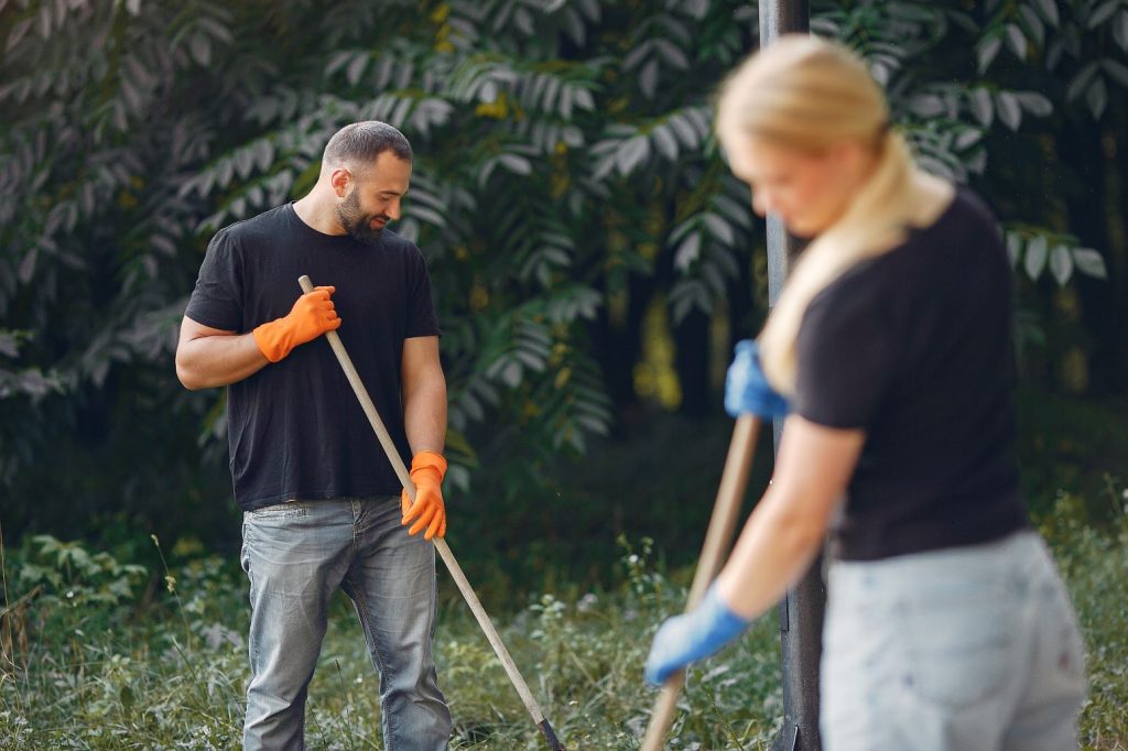 a photo of a couple collecting leaves reflecting what sharing responsibilities in relationships is